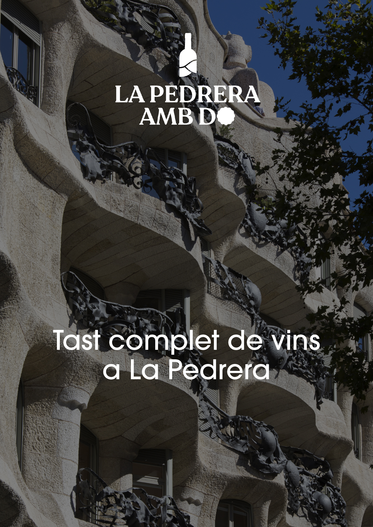 Tast de vins a La Pedrera